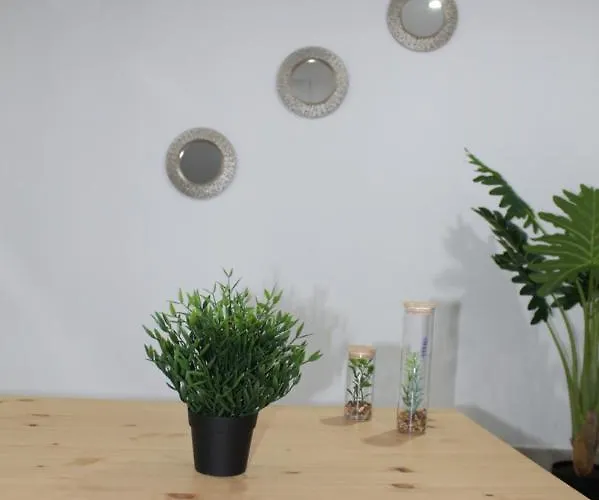 Nidillos Las Palmas / Gran Canaria