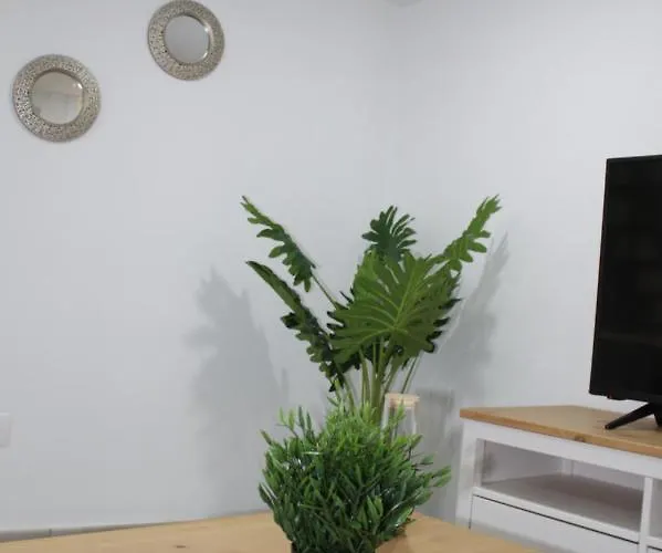 Nidillos Las Palmas / Gran Canaria